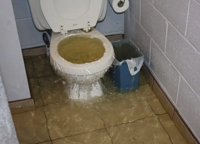 Category 3 black water backup cleanup in a Pomona, CA home